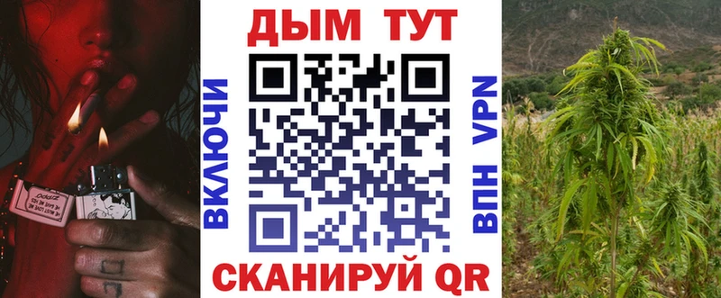 Где купить наркоту Курчатов Гашиш  Мефедрон 