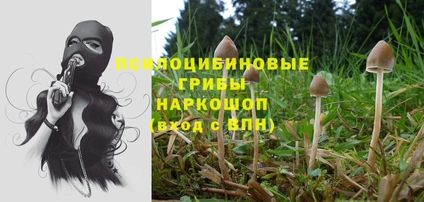 эйфоретик Медвежьегорск