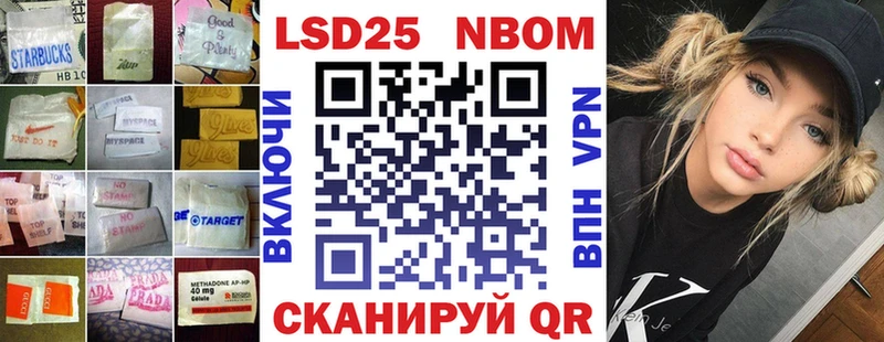 купить наркоту  мега как войти  LSD-25 экстази ecstasy  Курчатов 